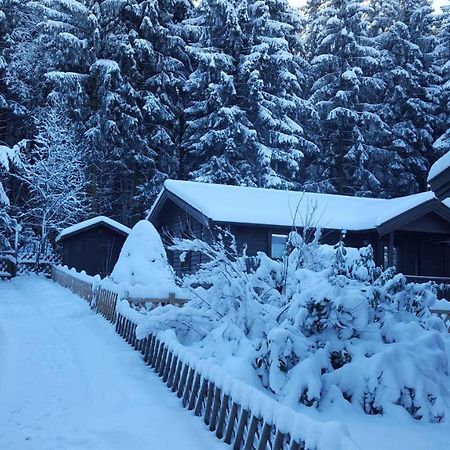 Waldsee Ferienhaus mit Kamin,W-Lan Clausthal-Zellerfeld Exterior foto