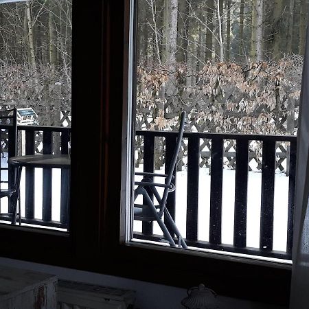 Waldsee Ferienhaus mit Kamin,W-Lan Clausthal-Zellerfeld Exterior foto