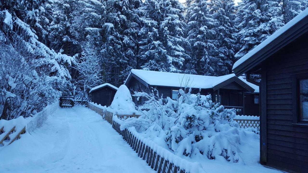 Waldsee Ferienhaus mit Kamin,W-Lan Clausthal-Zellerfeld Exterior foto