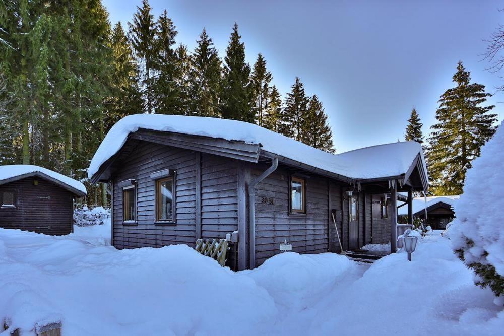 Waldsee Ferienhaus mit Kamin,W-Lan Clausthal-Zellerfeld Exterior foto