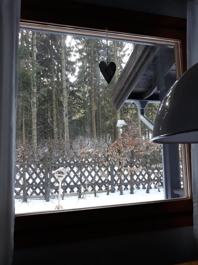 Waldsee Ferienhaus mit Kamin,W-Lan Clausthal-Zellerfeld Exterior foto