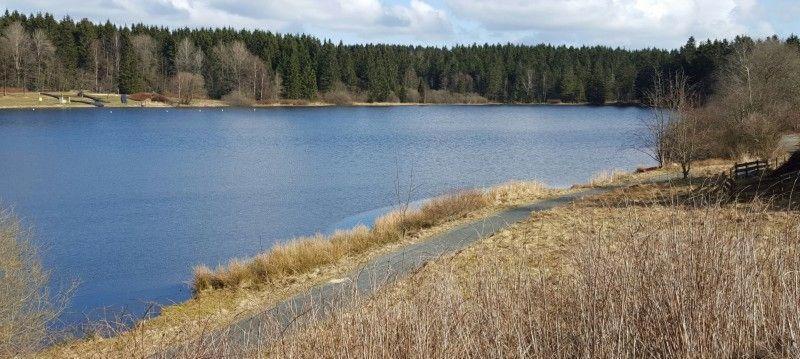 Waldsee Ferienhaus mit Kamin,W-Lan Clausthal-Zellerfeld Exterior foto